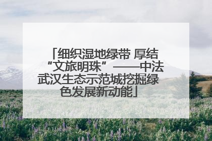 细织湿地绿带 厚结“文旅明珠”——中法武汉生态示范城挖掘绿色发展新动能