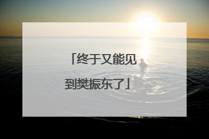终于又能见到樊振东了