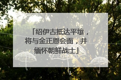绍伊古抵达平壤，将与金正恩会面，并缅怀朝鲜战士