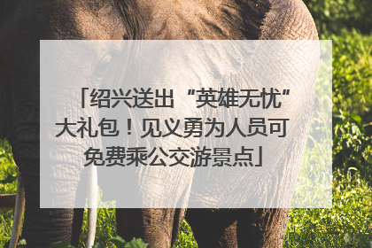 绍兴送出“英雄无忧”大礼包！见义勇为人员可免费乘公交游景点