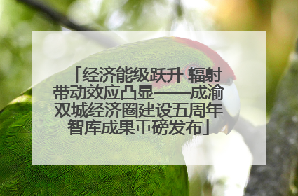 经济能级跃升 辐射带动效应凸显——成渝双城经济圈建设五周年智库成果重磅发布