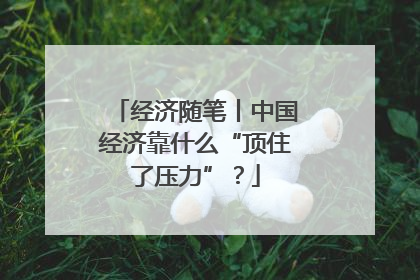 经济随笔丨中国经济靠什么“顶住了压力”？