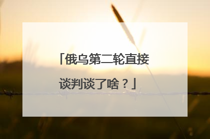 俄乌第二轮直接谈判谈了啥？