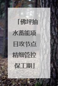 佛坪抽水蓄能项目攻节点精细管控保工期