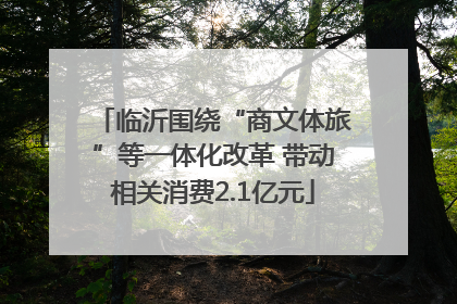 临沂围绕“商文体旅”等一体化改革 带动相关消费2.1亿元