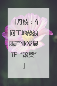 丹棱：车间工地热浪腾产业发展正“滚烫”