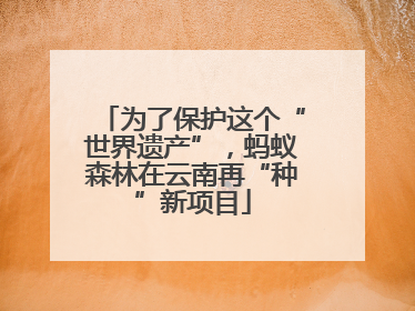为了保护这个“世界遗产”，蚂蚁森林在云南再“种”新项目