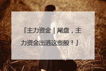 主力资金｜尾盘，主力资金出逃这些股！