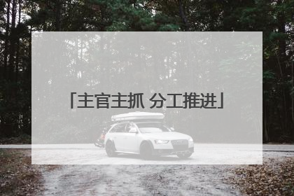 主官主抓 分工推进