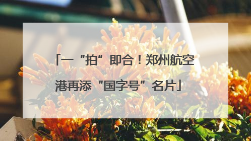 一“拍”即合！郑州航空港再添“国字号”名片