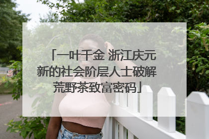 一叶千金 浙江庆元新的社会阶层人士破解荒野茶致富密码