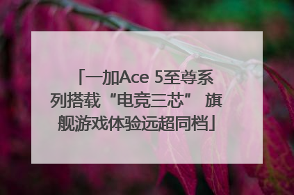 一加Ace 5至尊系列搭载“电竞三芯” 旗舰游戏体验远超同档