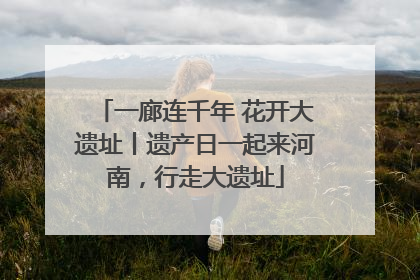 一廊连千年 花开大遗址丨遗产日一起来河南，行走大遗址