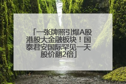 一张牌照引爆A股港股大金融板块！国泰君安国际罕见一天股价翻2倍