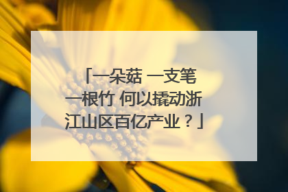 一朵菇 一支笔 一根竹 何以撬动浙江山区百亿产业？