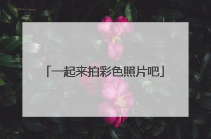 一起来拍彩色照片吧
