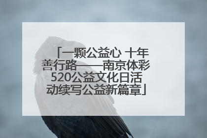 一颗公益心 十年善行路——南京体彩520公益文化日活动续写公益新篇章