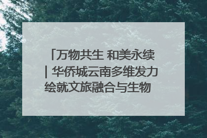 万物共生 和美永续｜华侨城云南多维发力 绘就文旅融合与生物多样性保护新图景