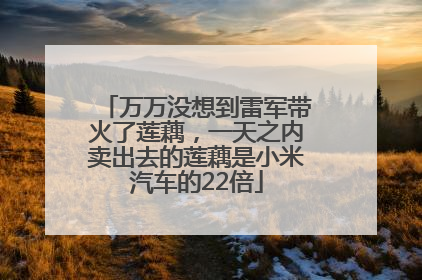 万万没想到雷军带火了莲藕，一天之内卖出去的莲藕是小米汽车的22倍