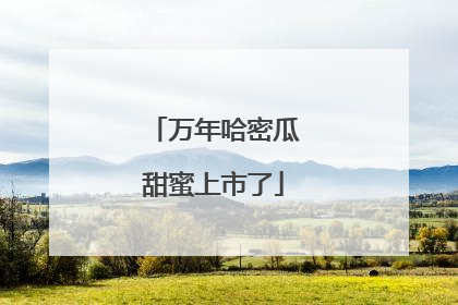 万年哈密瓜甜蜜上市了