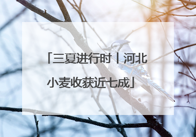 三夏进行时丨河北小麦收获近七成