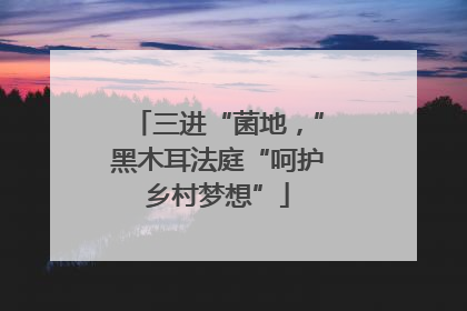 三进“菌地，”黑木耳法庭“呵护乡村梦想”