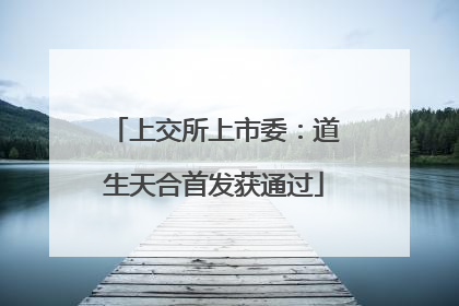 上交所上市委：道生天合首发获通过