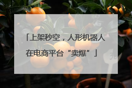 上架秒空，人形机器人在电商平台“卖爆”