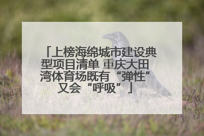 上榜海绵城市建设典型项目清单 重庆大田湾体育场既有“弹性”又会“呼吸”