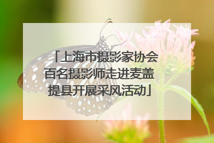 上海市摄影家协会百名摄影师走进麦盖提县开展采风活动