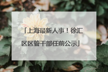 上海最新人事！徐汇区区管干部任前公示