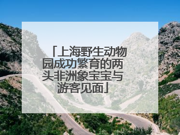 上海野生动物园成功繁育的两头非洲象宝宝与游客见面