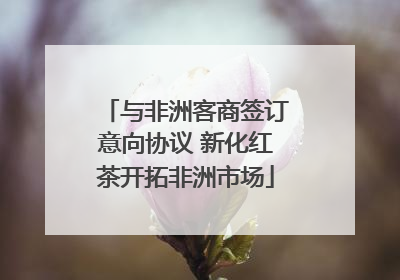 与非洲客商签订意向协议 新化红茶开拓非洲市场