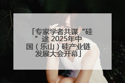 专家学者共谋“硅”途 2025年中国（乐山）硅产业链发展大会开幕