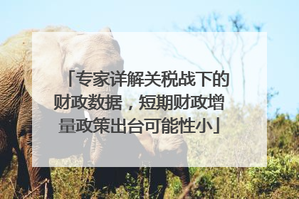 专家详解关税战下的财政数据，短期财政增量政策出台可能性小