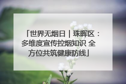 世界无烟日｜珠晖区：多维度宣传控烟知识 全方位共筑健康防线