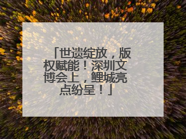 世遗绽放，版权赋能！深圳文博会上，鲤城亮点纷呈！