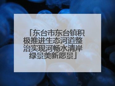 东台市东台镇积极推进生态河道整治实现河畅水清岸绿景美新愿景