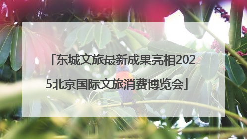 东城文旅最新成果亮相2025北京国际文旅消费博览会