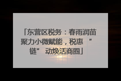 东营区税务：春雨润苗聚力小微赋能，税惠 “链” 动焕活商圈