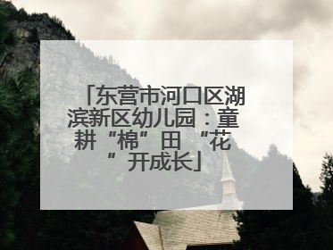 东营市河口区湖滨新区幼儿园：童耕“棉”田 “花”开成长