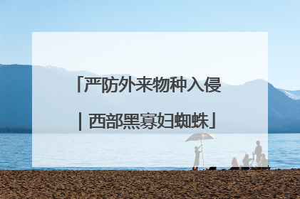 严防外来物种入侵｜西部黑寡妇蜘蛛