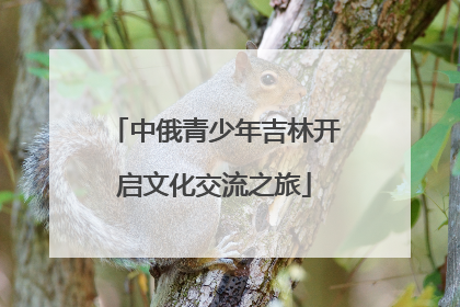 中俄青少年吉林开启文化交流之旅