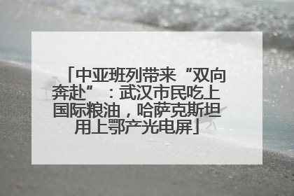 中亚班列带来“双向奔赴”：武汉市民吃上国际粮油，哈萨克斯坦用上鄂产光电屏