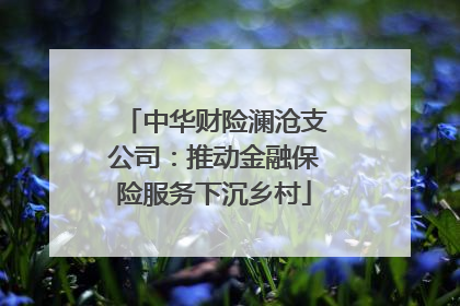 中华财险澜沧支公司：推动金融保险服务下沉乡村
