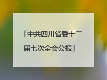 中共四川省委十二届七次全会公报