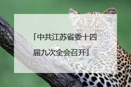 中共江苏省委十四届九次全会召开