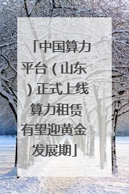 中国算力平台（山东）正式上线 算力租赁有望迎黄金发展期