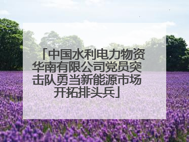 中国水利电力物资华南有限公司党员突击队勇当新能源市场开拓排头兵