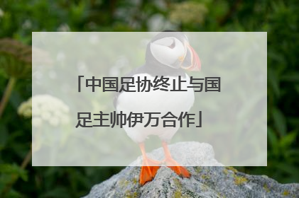 中国足协终止与国足主帅伊万合作